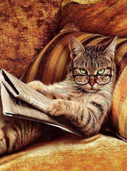 Картина по номерам Josef Otten Животные Деловой кот 40х50 см в термопакете (9547EPH_O-mt)