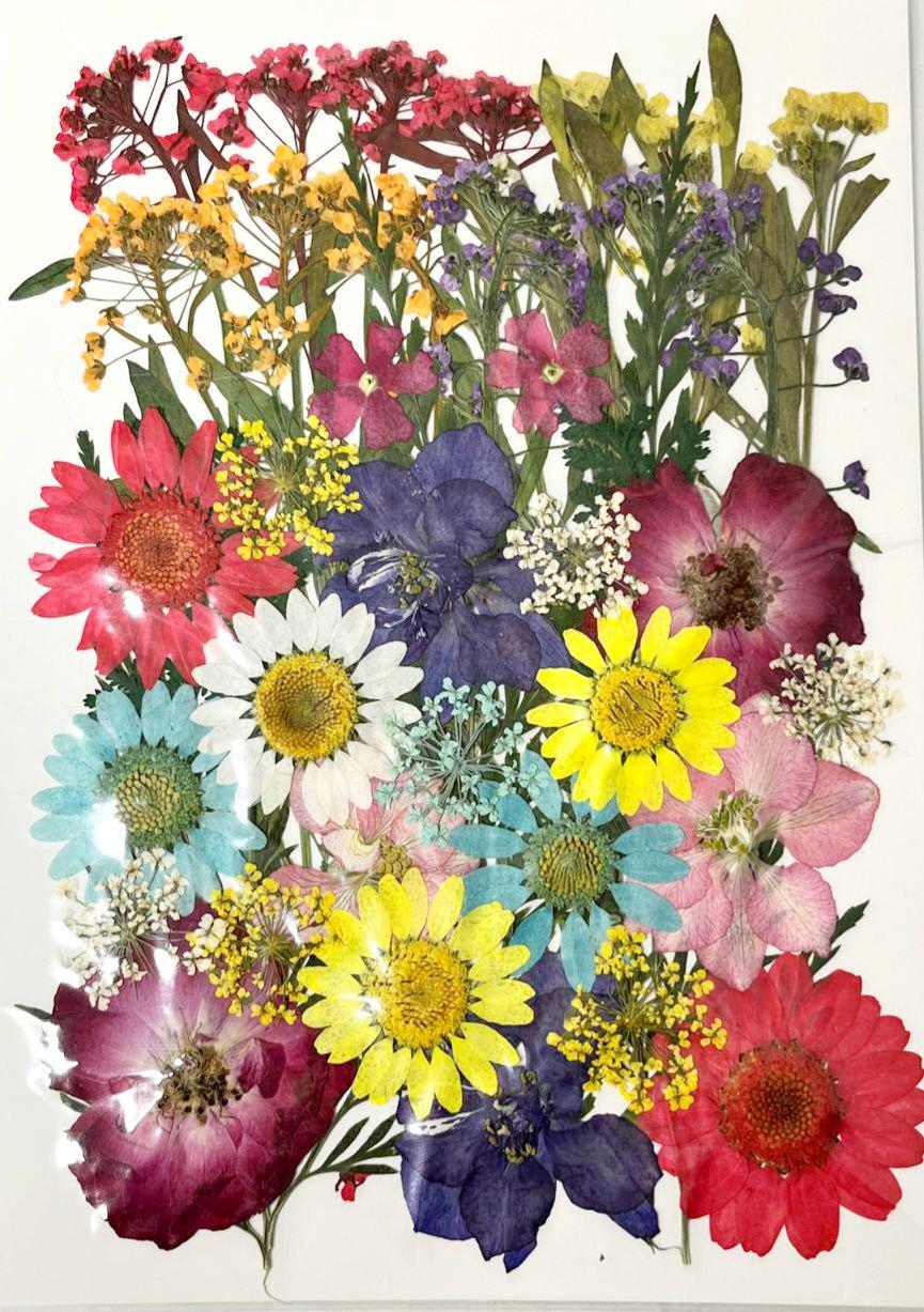 Сухоцвіт набір № 8 для творчості для ювелірних виробів із епоксидної смоли 40 шт. (С-032/8) Сухоцвіт набір № 8 для творчості для ювелірних виробів із епоксидної смоли 40 шт. (С-032/8)