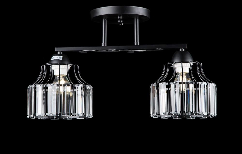 Люстра с плафонами Ray L7335/2 BK (IR006048)