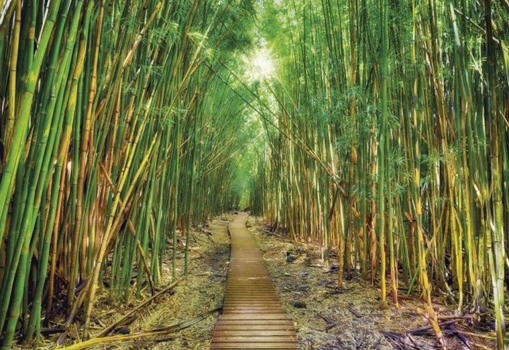 Обои Панно Komar Bamboo бумажные моющие 368х254 см (8-935) Обои Панно Komar Bamboo бумажные моющие 368х254 см (8-935)