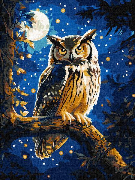 Картина за номерами Ideyka Нічна сова з фарбами металік extra 30x40 см (Id-KHO6681)