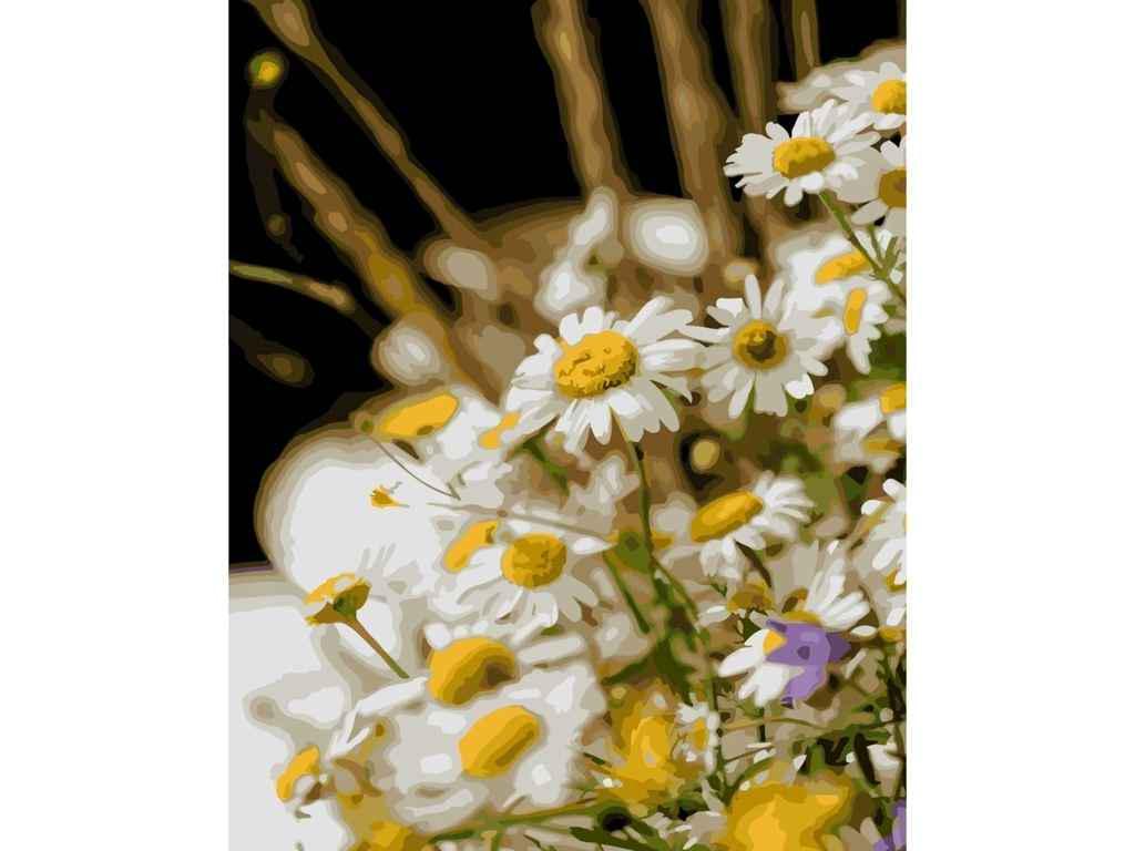 Картина по номерам Strateg Полевые ромашки 40х50 см (SY6754)