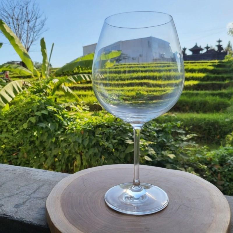 Набір келихів для червоного вина 6 шт. Schott Zwiesel Ivento 783 мл (115589) - фото 5 Набір келихів для червоного вина 6 шт. Schott Zwiesel Ivento 783 мл (115589) - фото 5