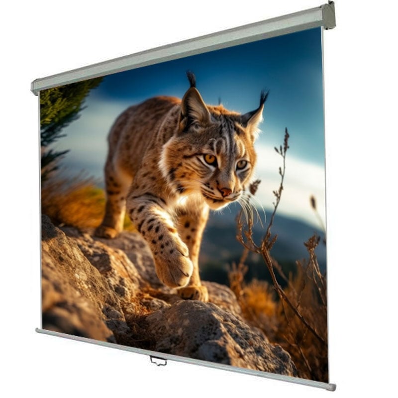 Екран проекційний Walfix SNM-5 настінний стельовий 150" 300x225 см 4:3 (tf539) - фото 2 Екран проекційний Walfix SNM-5 настінний стельовий 150" 300x225 см 4:3 (tf539) - фото 2