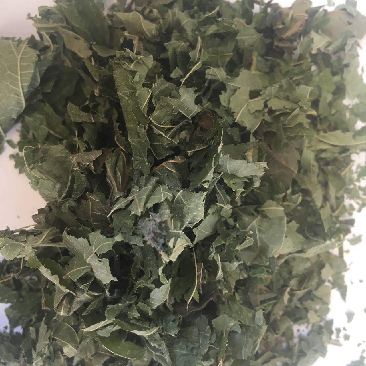 Листья лещины обыкновенной Карпаты 50 г (629063e915d6fa4d0b501dd3)