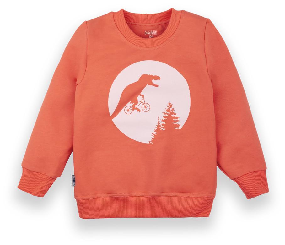 Свитер детский хлопковый теплый для мальчика Gabbi DG-20-25-1 Ситисленг 110 см Коралловый (12414)