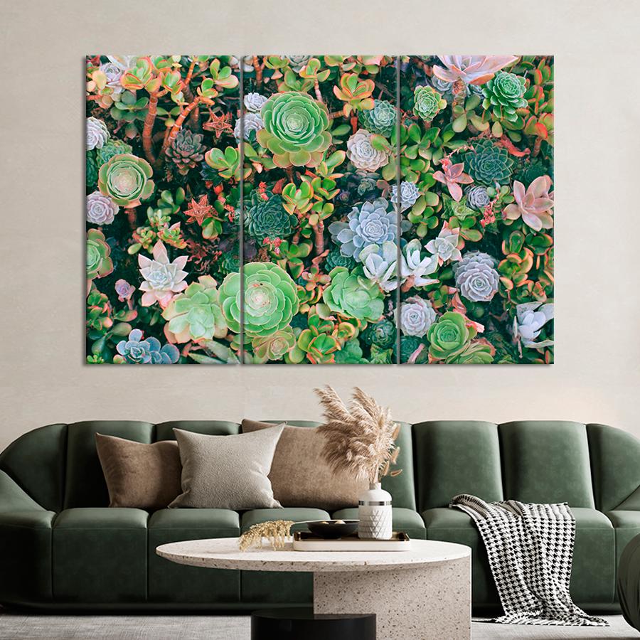 Картина цветы и растения Необычные суккуленты 156x100 см (A1016-3)