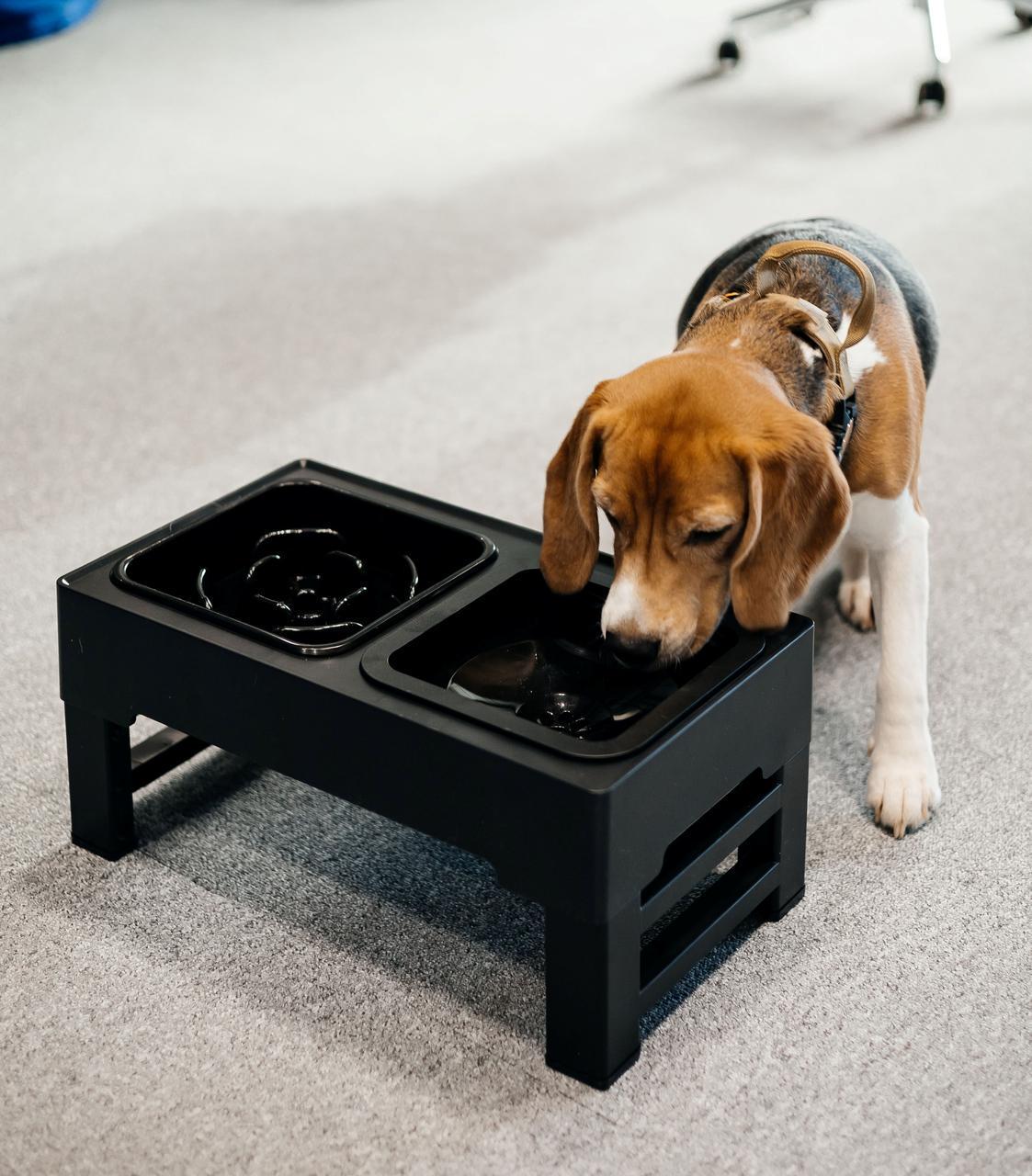 Миска двойная для собак ELS PET на подставке с плавающим блюдцем и медленным кормлением Черный (1822310979) - фото 3