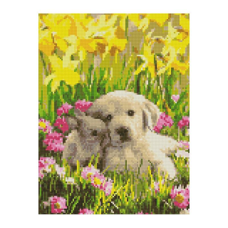 Алмазная мозаика Rainbow Art Друзья 40х30 см (EJ1397)