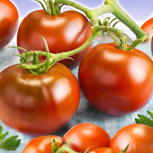 Семена Томат Florium Ефіоп (17321)