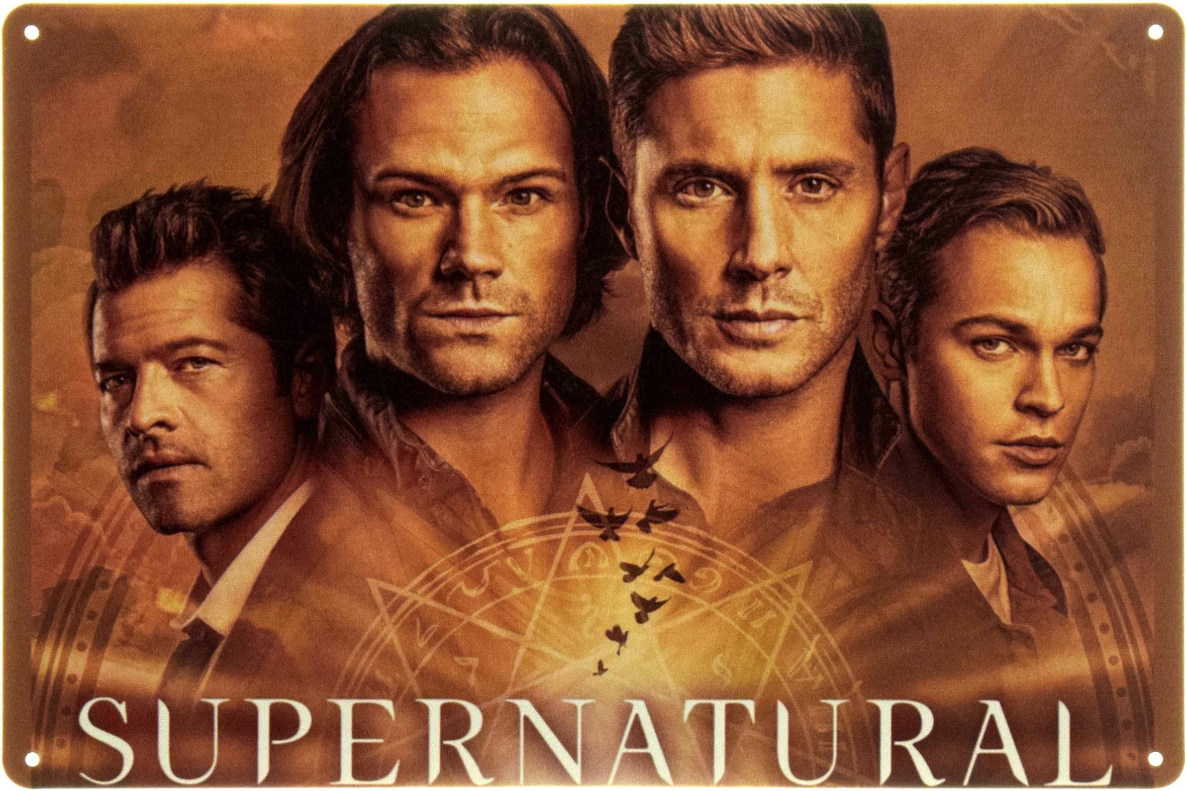 Табличка металлическая "Supernatural" 20x30 см (ms-104589)