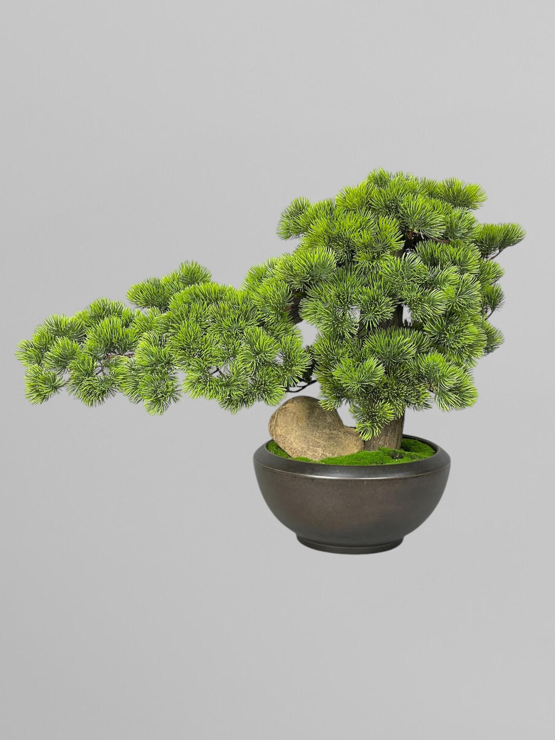 Бонсай 53 см Зеленый (Б003) - фото 2