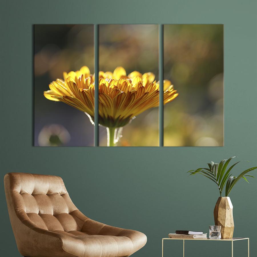 Картина на холсте триптих Цветок оранжевой календулы 128x81 см (894-31)