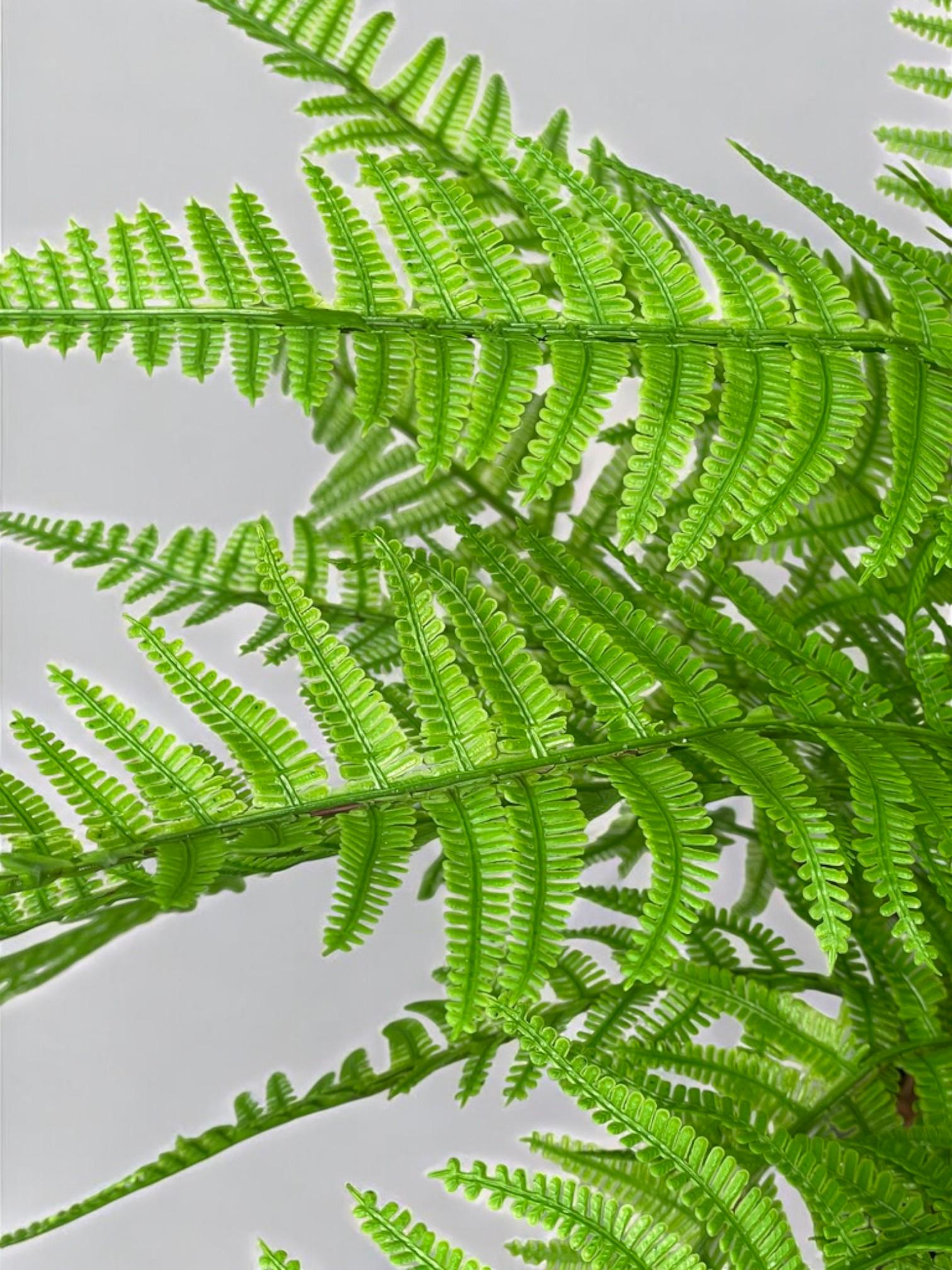 Композиция из искусственного папоротника в черном керамическом горшке Зеленый (А202) - фото 4 Композиция из искусственного папоротника в черном керамическом горшке Зеленый (А202) - фото 4