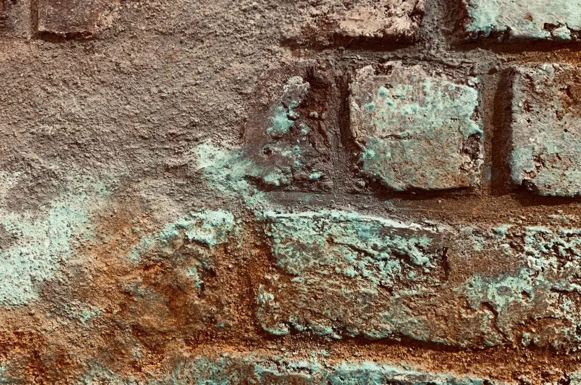 Декоративне покриття Elf Decor Corrosia Patina 1 кг - фото 4 Декоративне покриття Elf Decor Corrosia Patina 1 кг - фото 4