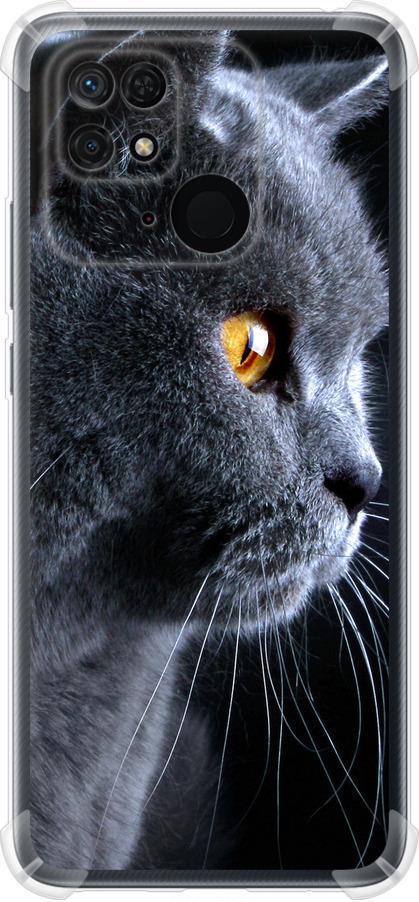 Чехол на Xiaomi Redmi 10C Красивый кот (3038sp-2591-42517)