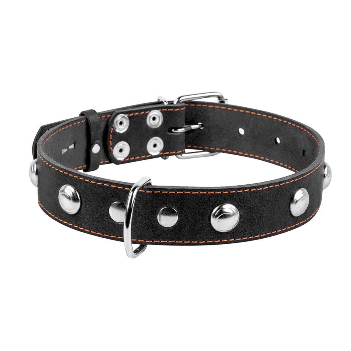 Нашийник для тварин Collar одинарний з прикрасами 35 мм/48-63 см Чорний (02711 Col)