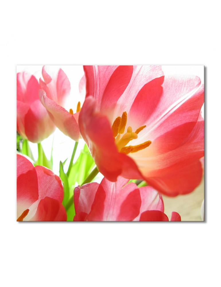 Картина модульная Раскрытые тюльпаны 1 модуль 60x90 см