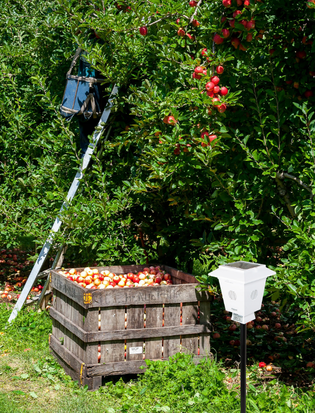 Відлякувач тварин ультразвуковий Xtreme - фото 10