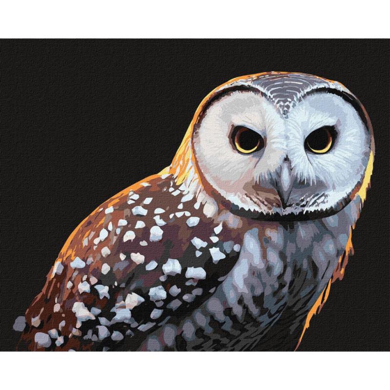 Картина по номерам Идейка Гордый взгляд 40х50 см (KHO4395)