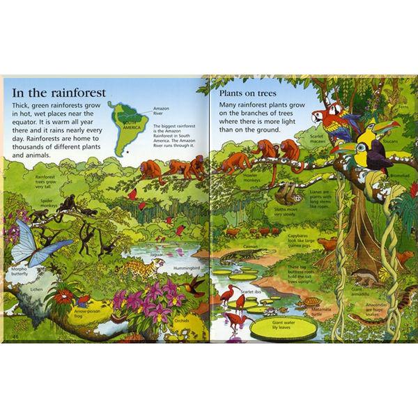 Книга Usborne "First Encyclopedia of Our World" Felicity Brooks (ISBN:9781409514305) - фото 4