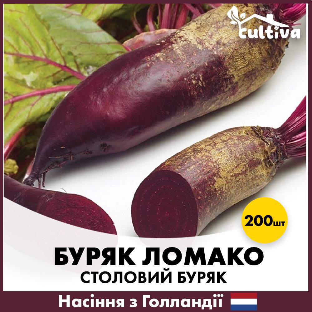 Насіння буряку Rijk Zwaan Столовий Ломако 200 шт. (Y2004)