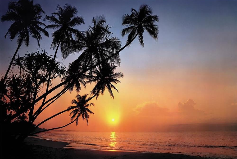 Обои Панно Komar Maldives бумажные моющие 388х270 см (8-030) Обои Панно Komar Maldives бумажные моющие 388х270 см (8-030)