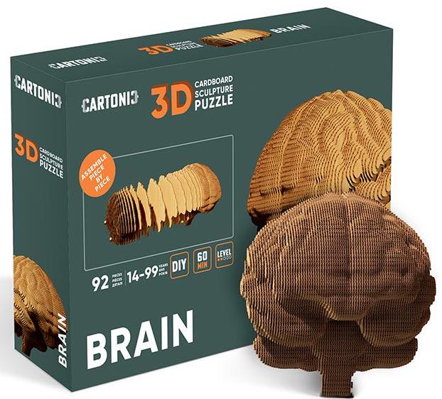 Конструктор картонный Cartonic 3D Puzzle Brain - фото 1