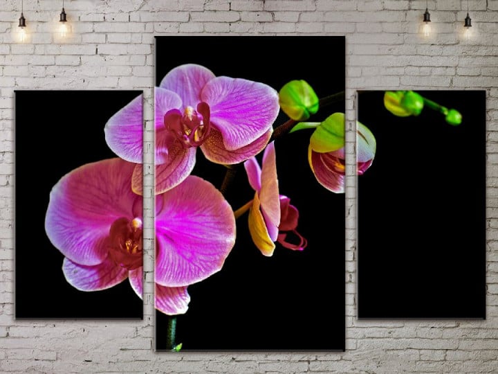 Картина модульная ArtStar Орхидея ADFL0065 120х180 см 3 части