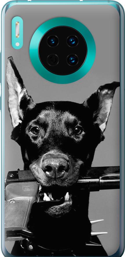 Чехол на Huawei Mate 30 Доберман (2745u-1773-42517)