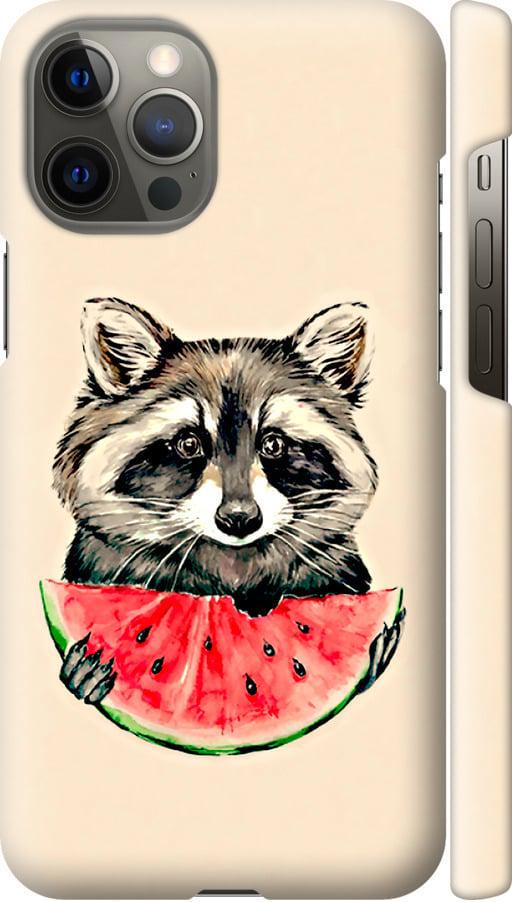 Чехол на iPhone 12 Pro Max Енотик с арбузом (4605c-2054-42517)