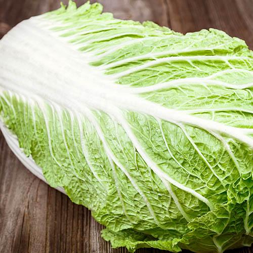 Семена Капуста Florium пекінська Міс Китай (17577)