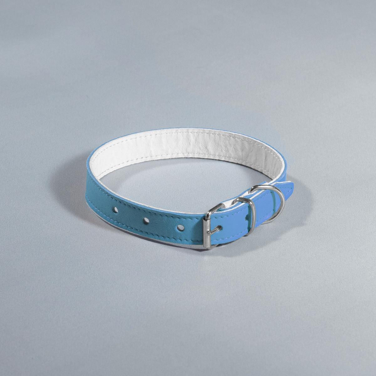 Нашийник для собак шкіряний подвійний Барви 16 мм х 23-31 см Блакитний (2296447502)