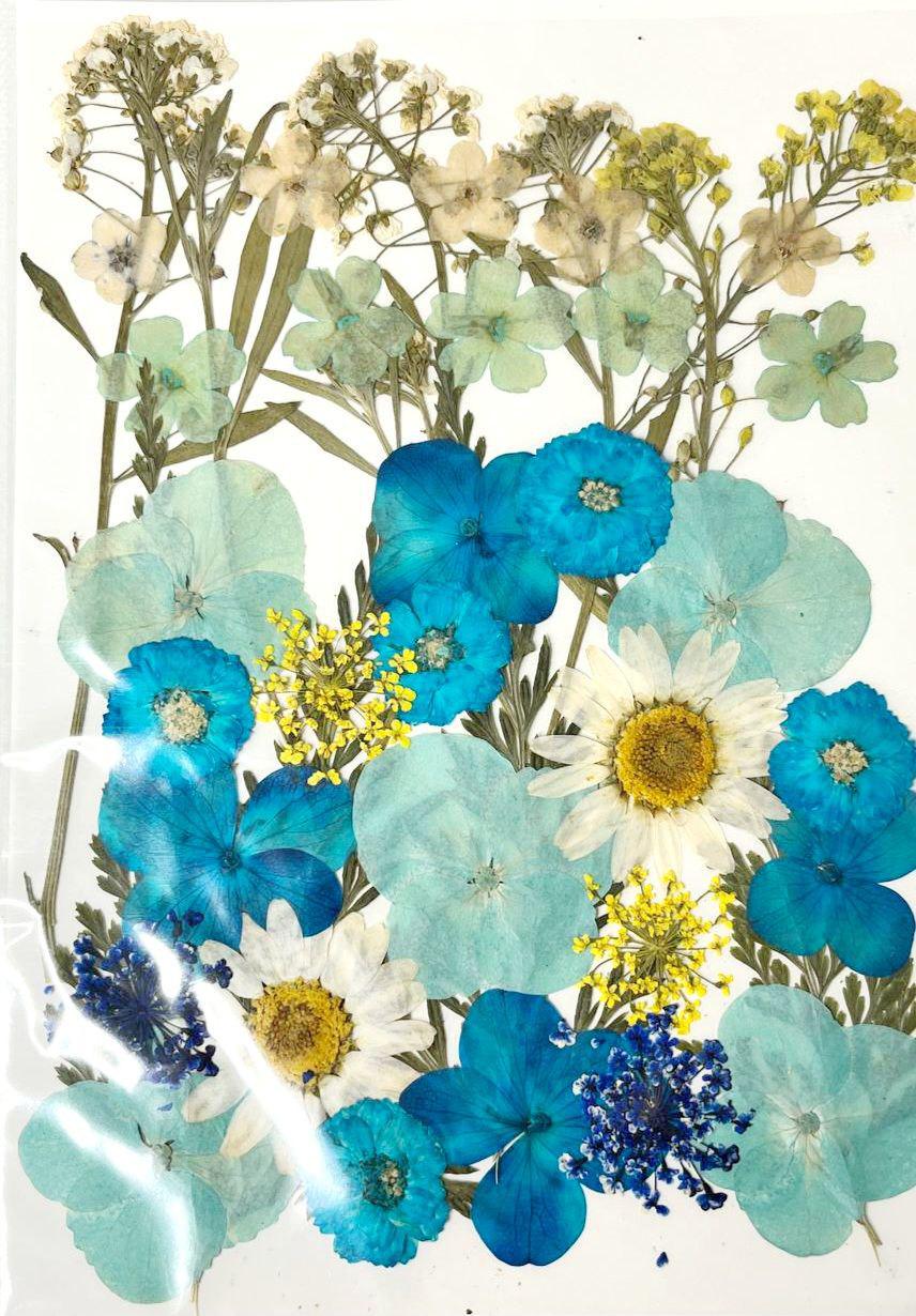 Сухоцвет набор №9 для творчества для ювелирных изделий из эпоксидной смолы 40 шт. (С-032/9)