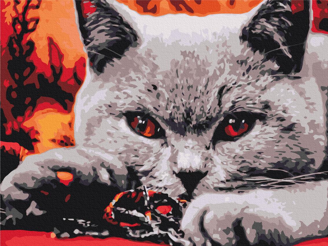 Картина по номерам Brushme Домашний хищник 30x40 см (RBS32800) Картина по номерам Brushme Домашний хищник 30x40 см (RBS32800)