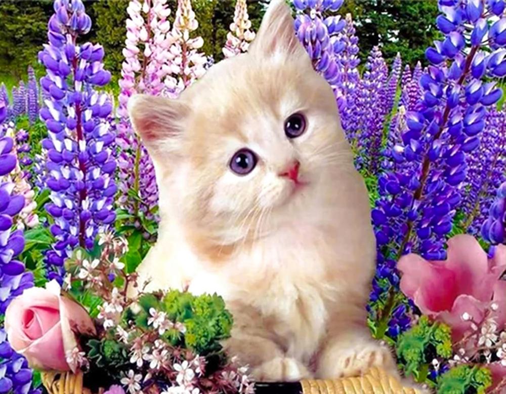 Алмазная мозаика Котенок в цветах на подрамнике 40x30 см (28169)