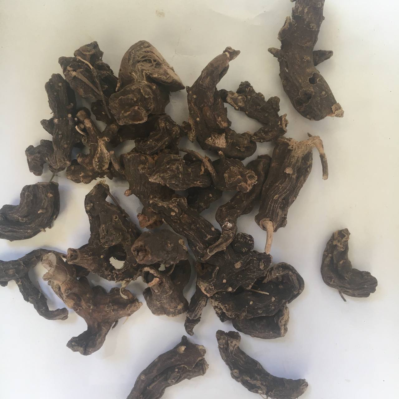 Норичник узловатый корень шишковатый Карпаты 50 г (6283389b78162f0e9a5d53d4)
