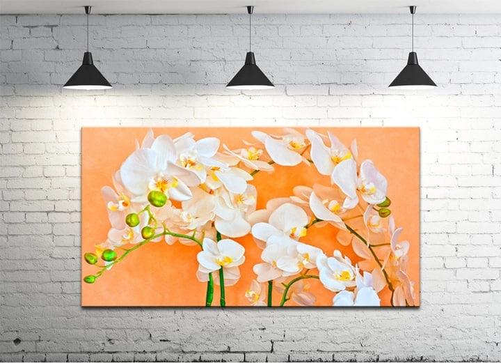 Картина на холсте DK Белая орхидея 50х100 см (DKP50100-c111)