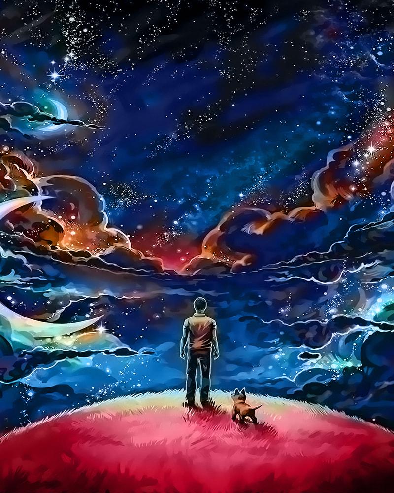 Картина по номерам Brushme SH30081 Маленький Принц 40x50 см (27587)