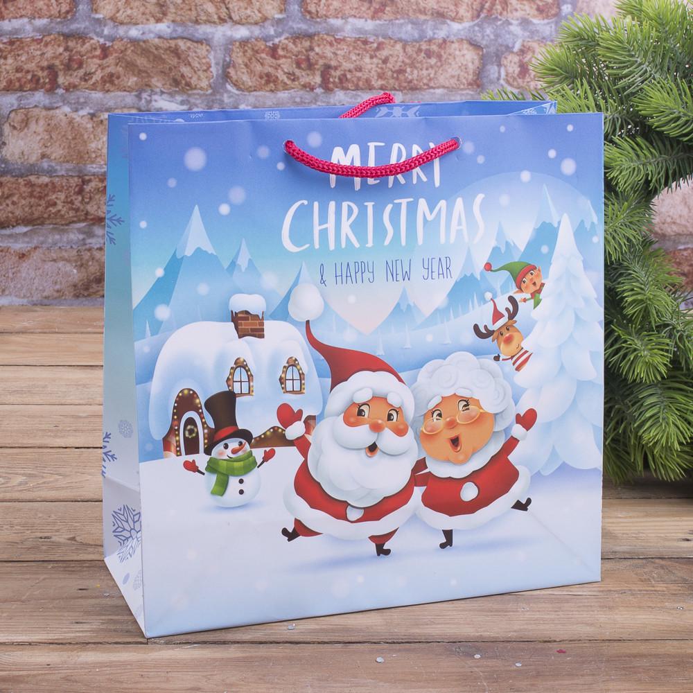 Пакет новогодний Коляда (4680-W1S-601)