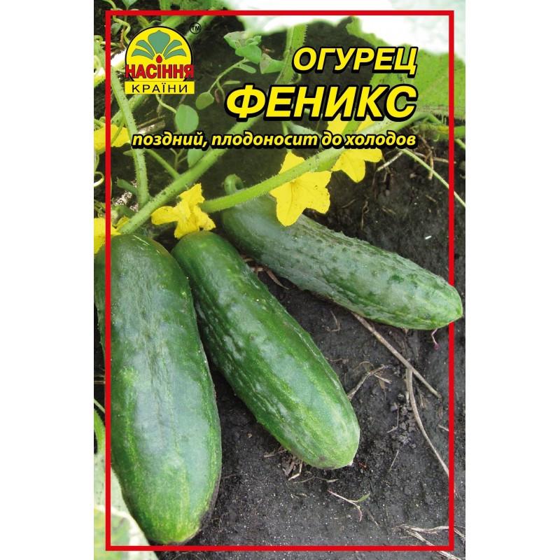 Насіння огірка Насіння країни Фенікс 10 г ок 400 шт. (1137298907)
