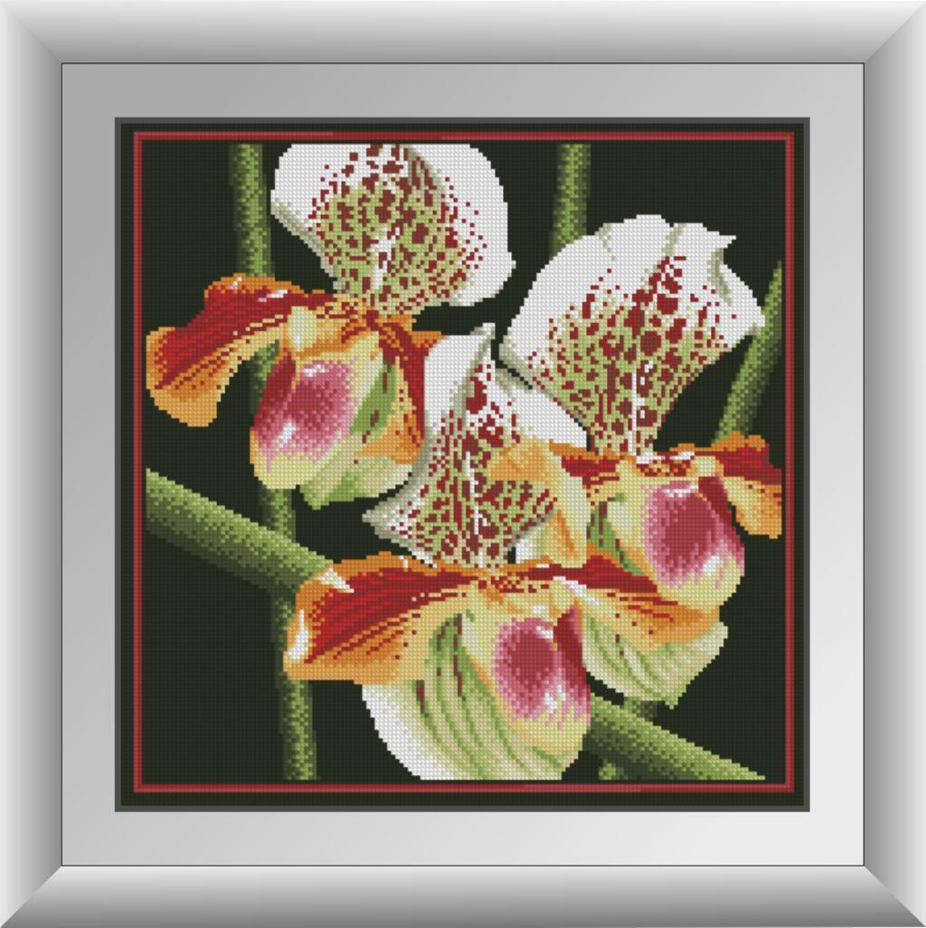 Алмазная мозаика Dream Art Хищная орхидея 41x41 см (DA.30411)