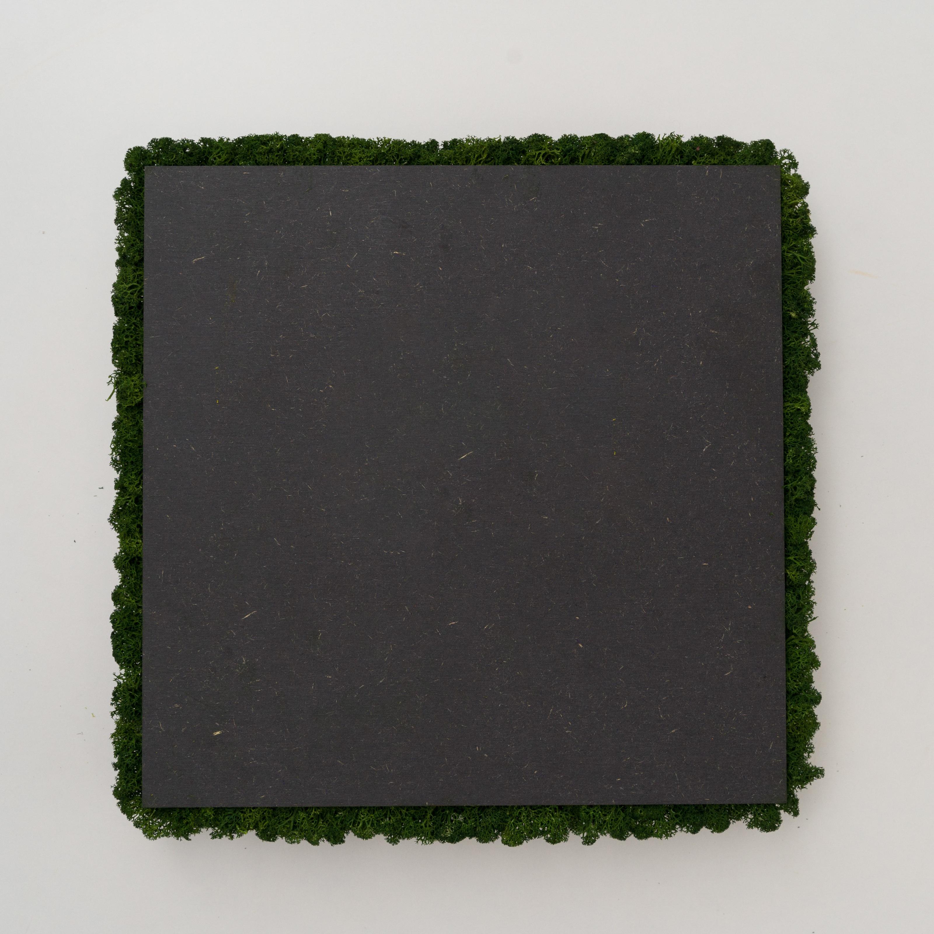 Декоративное панно из мха Organic Design квадратная панель 33 см Forest Green (703-04) - фото 3 Декоративное панно из мха Organic Design квадратная панель 33 см Forest Green (703-04) - фото 3