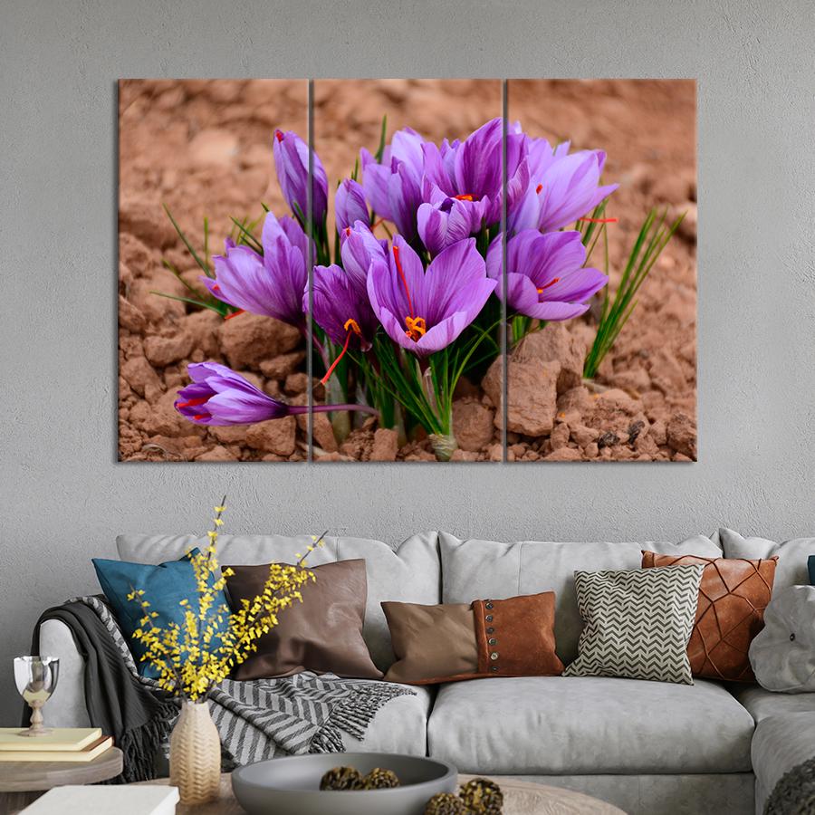 Картина цветы и растения Хрупкие фиолетовые крокусы 156x100 см (A1029-3)