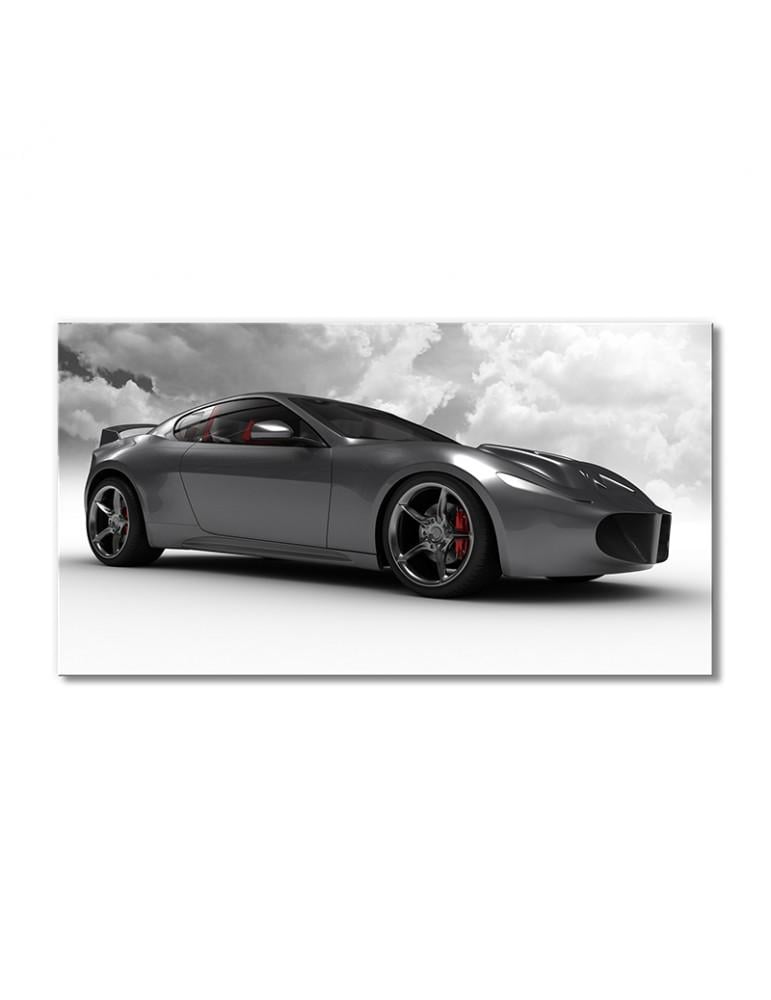 Картина модульная Серебряный раллийный автомобиль 1 модуль 50x75 см