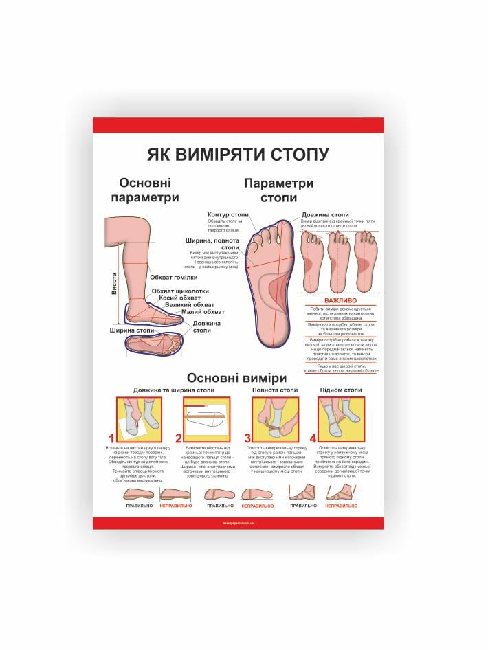 Плакат Vivay Как измерить стопу 30х40 см (25698488)