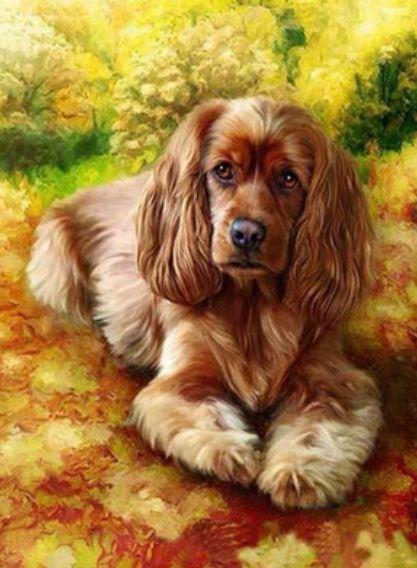 Картина по номерам Josef Otten Животные Спаниель 40х50 см в термопакете (9512EPH_O-mt) Картина по номерам Josef Otten Животные Спаниель 40х50 см в термопакете (9512EPH_O-mt)