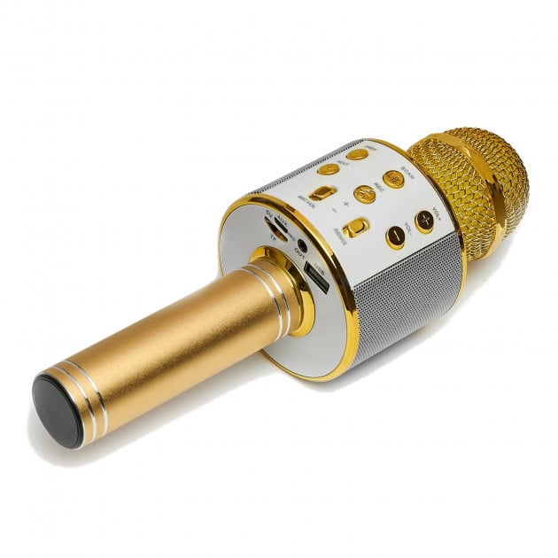 Микрофон-bluetooth Wster WS-858 Gold (21858MK00178) - фото 1