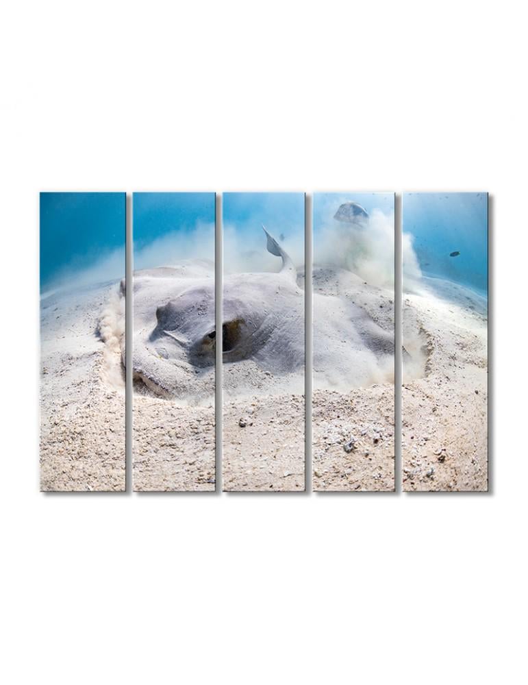 Картина модульная Скат в песке 5 модулей 120x180 см (093605Zhivotnye)