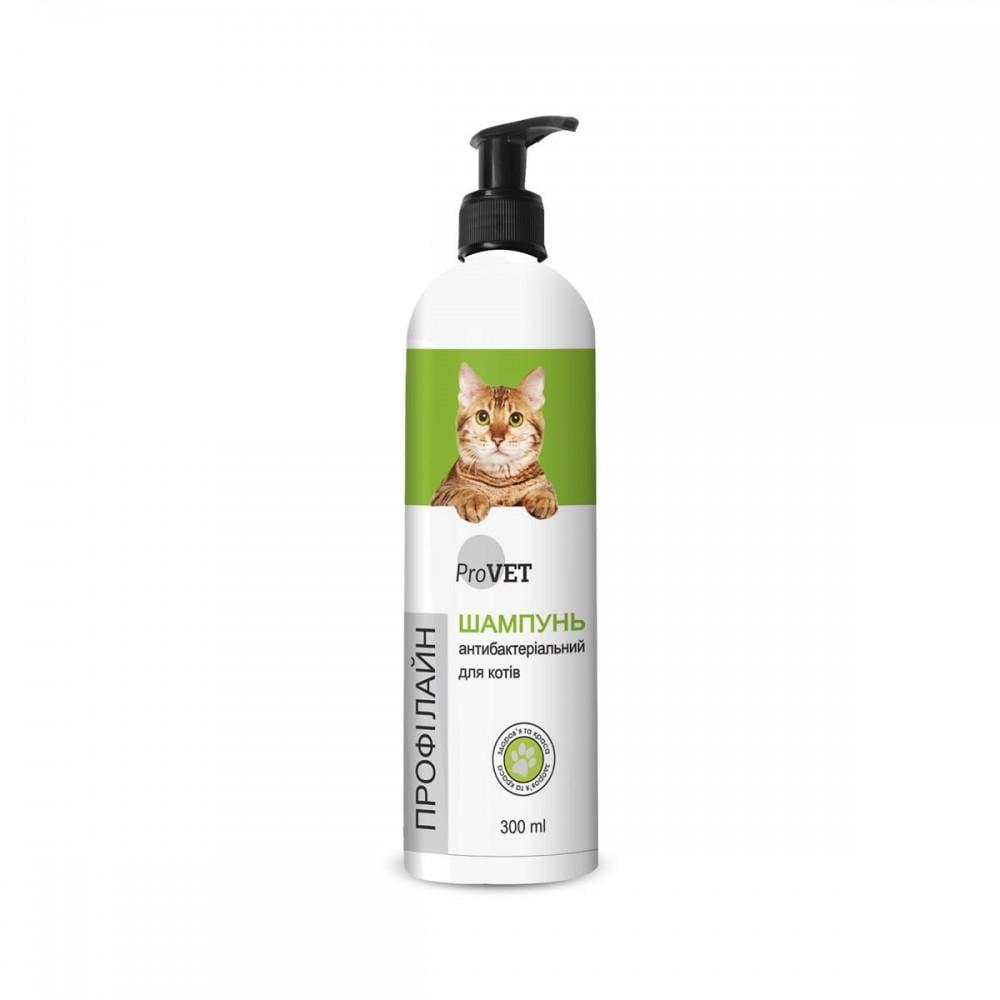 Шампунь для котів ProVET Профілайн антибактеріальний 300 мл (1789932730)